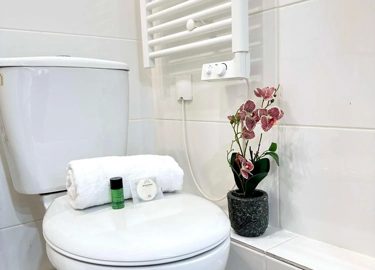 Stylish Studio Steps From Le Marais